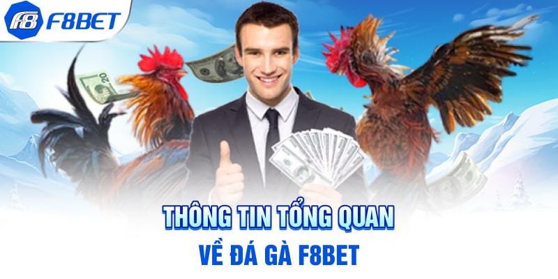 Kinh nghiệm khi chơi đá gà f8bet